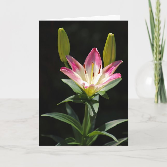 Cartão de saudação Lily (Frente)
