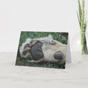 Cartão de Saudação "Lion Africano"