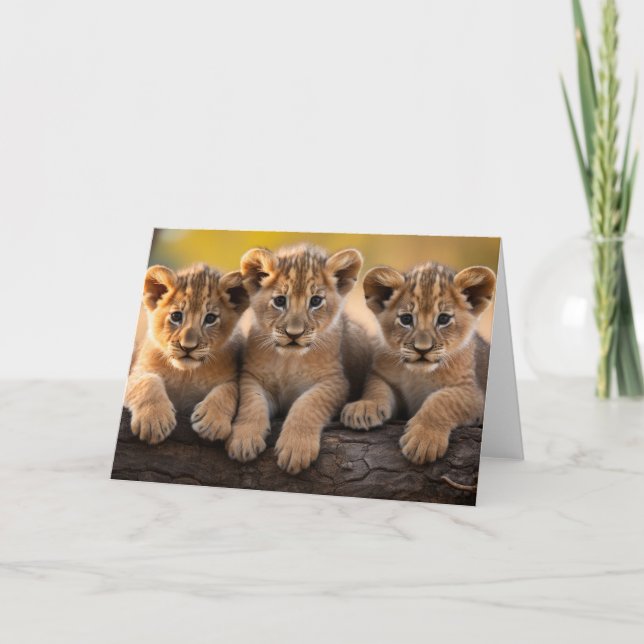 Cartão de Saudação Lion Cubs (Frente)