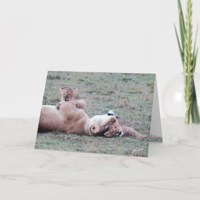 Cartão de Saudação Lioness & Cubs (Frente)
