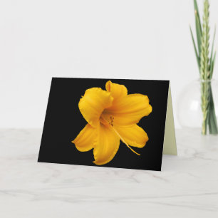 Cartão de Saudação Lírios e Daffodils