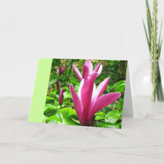 Cartão de Saudação Magenta Magnolia