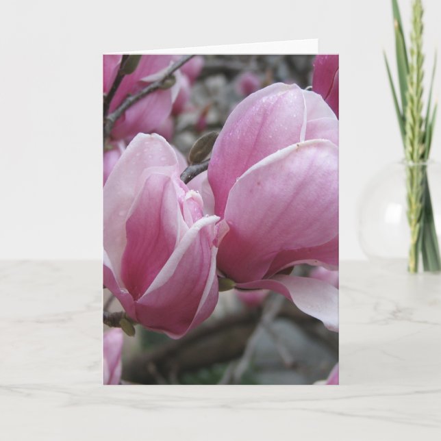 Cartão de Saudação Magnolia (Frente)