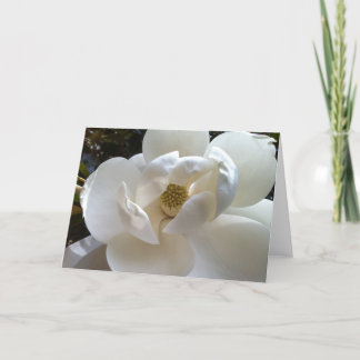 Cartão de Saudação Magnolia