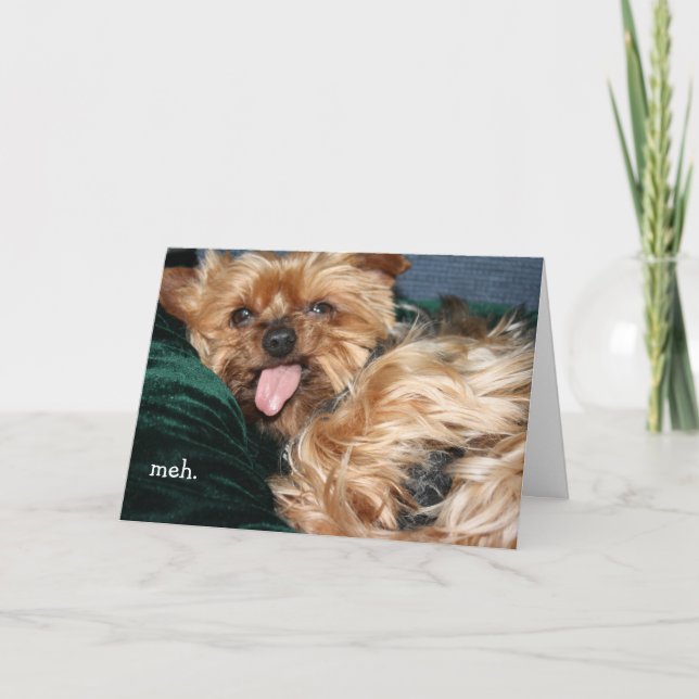 Cartão de Saudação "meh - doan want" (Frente)