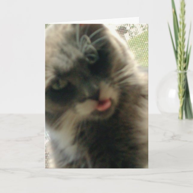 Cartão de Saudação Meow Cats 2 (Frente)