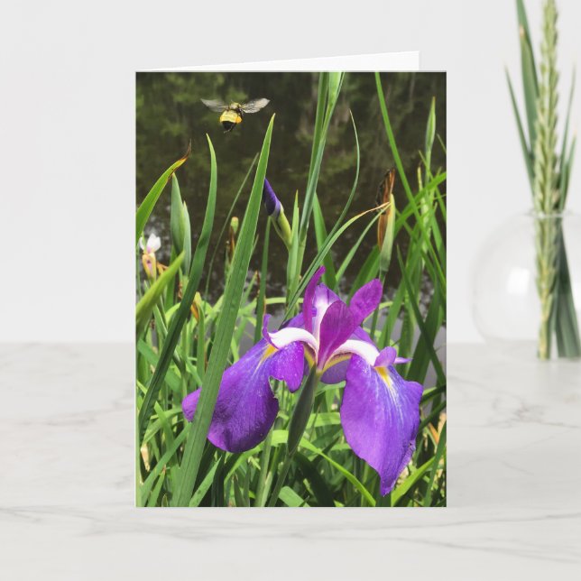 cartão de saudação nº 1 (Frente)