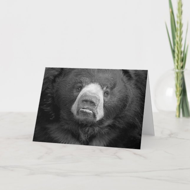 Cartão de saudação nº 1 do Sloth Bear (Frente)