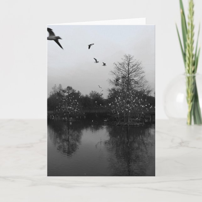 Cartão de saudação natural (Frente)