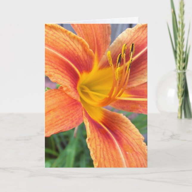 Cartão de Saudação Orange Daylily (Frente)