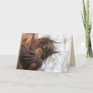 Cartão de Saudação Orangutan