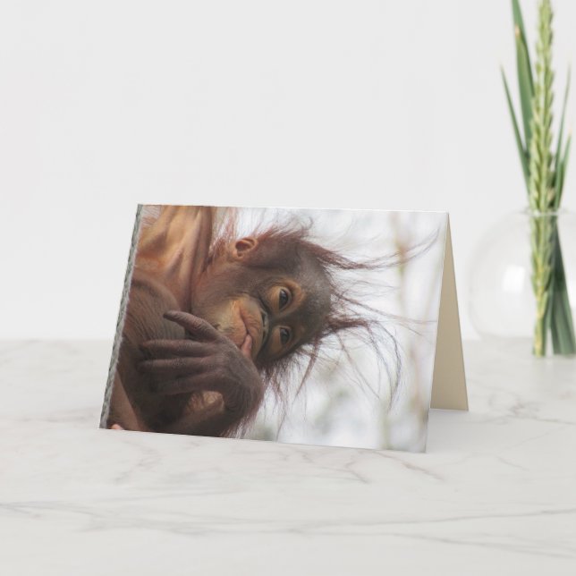 Cartão de Saudação Orangutan (Frente)