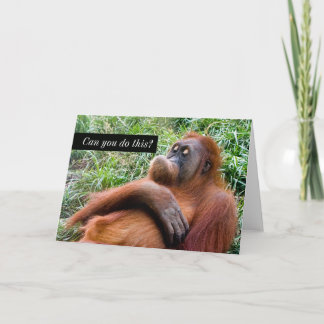 Cartão de Saudação Orangutan Engraçado
