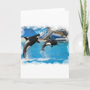 Cartão de Saudação Orca Whales
