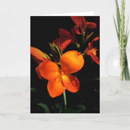 Cartão de Saudação Orquídea Azzling
