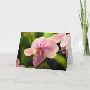 Cartão de Saudação Orquídea Rosa