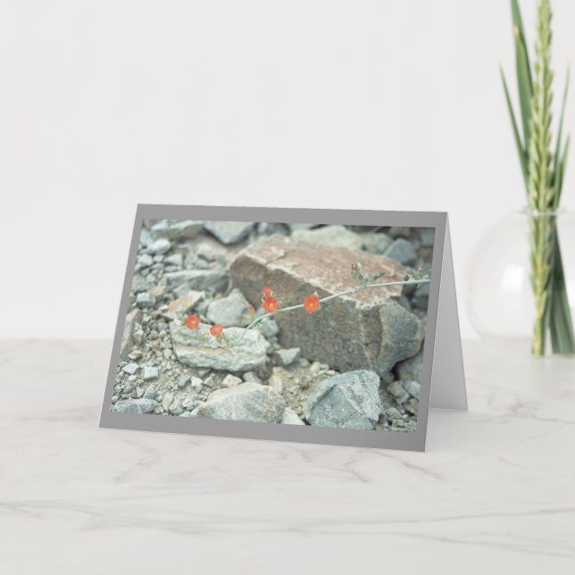 Cartão de Saudação ou Cartão de Nota do Deserto So (Frente)