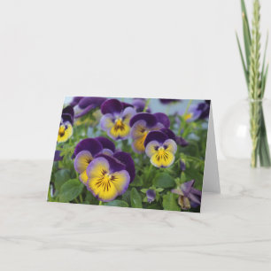 Cartão de saudação Pansy