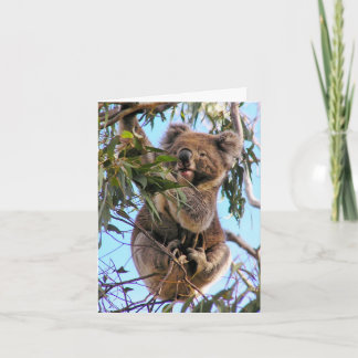 Cartão de Saudação para a Austrália Koala