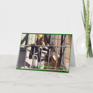 Cartão de Saudação para Bares Macacos