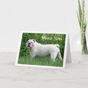 Cartão de Saudação para Cachorro Inglês Bulldog Mi