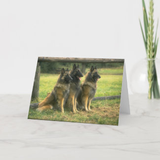 Cartão de saudação para cães german shepherd