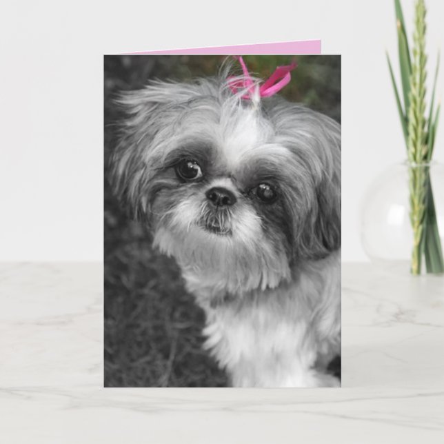 Cartão de Saudação para Garota Shitzu (Frente)