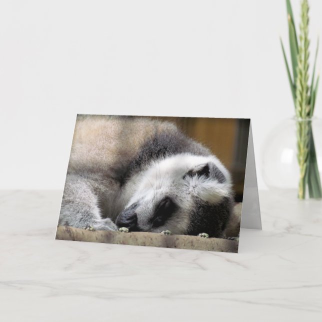 Cartão de saudação para Lemur adormecido (Frente)