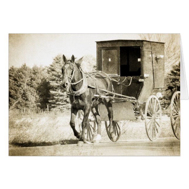 Cartão de Saudação para o Cavalo e o Buggy Sepia T (Frente Horizontal)