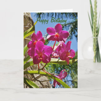 Cartão de Saudação para Orquídeas Feliz Aniversári
