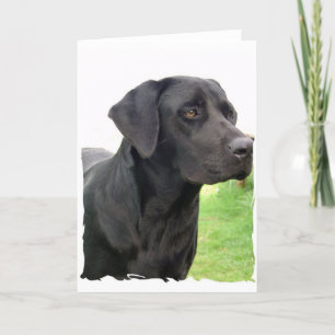 Cartão de Saudação para Retriever de Labrador Pret