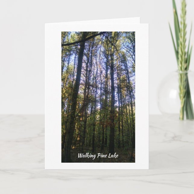 Cartão de Saudação - Passo de Verão em Pine Lake (Frente)