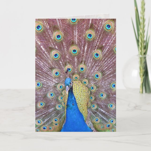 Cartão de Saudação Peacock (Frente)