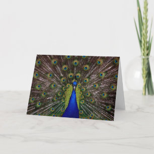 Cartão de saudação Peacock Ortoado