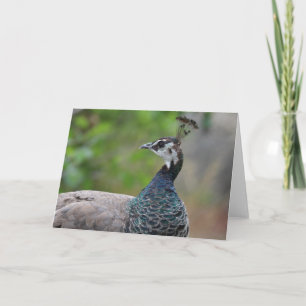Cartão de Saudação Peafowl