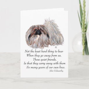 Cartão de Saudação Pekingese