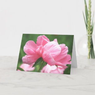Cartão de Saudação Penas Rosa