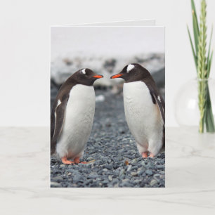Cartão de saudação PENGUIN AMIGO AMIGO