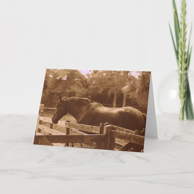 Cartão de saudação Percheron (Frente)