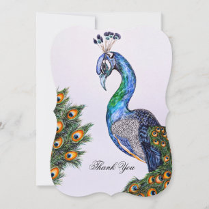 Cartão de Saudação Personalizado de Peacock Elegan