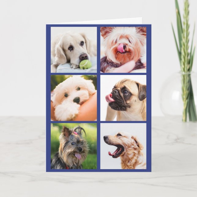 Cartão de saudação personalizado para Cães de Foto (Frente)