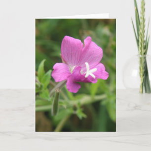 Cartão de Saudação Personalizado REd Campion Wildf