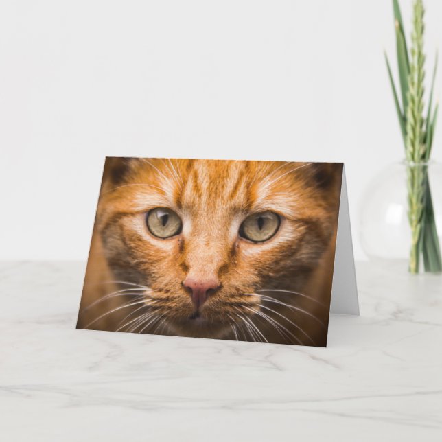 Cartão de saudação personalizável de fechamento de (Frente)