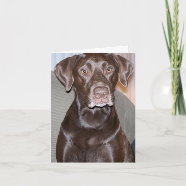 Cartão de saudação personalizável de todas as ocas (Frente)