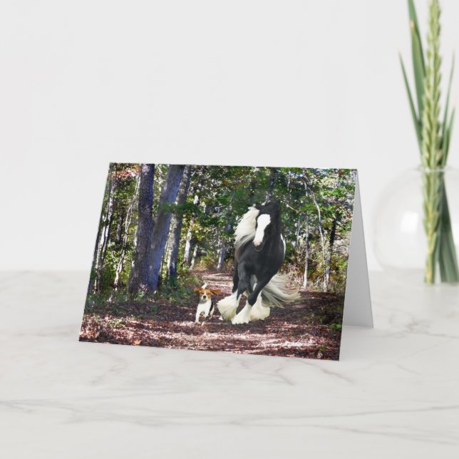 Cartão de saudação "Pine Barrens Run" (Frente)