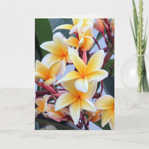 Cartão de Saudação Plumeria Amarelo