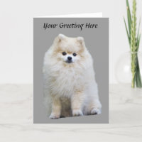 Cartão de Saudação Pomerano