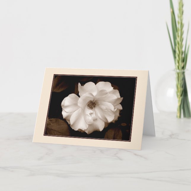 Cartão de saudação 'Primavera Rosa (Sepia)' (Frente)