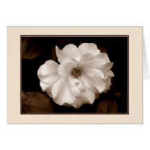 Cartão de saudação 'Primavera Rosa (Sepia)'