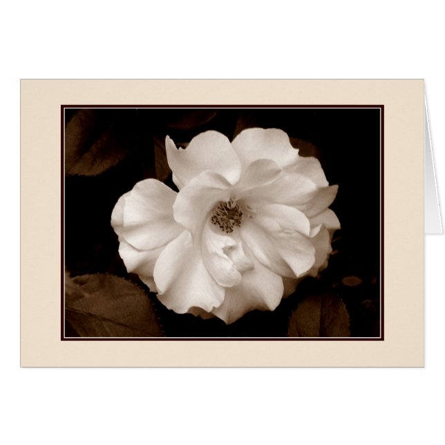 Cartão de saudação 'Primavera Rosa (Sepia)' (Frente Horizontal)